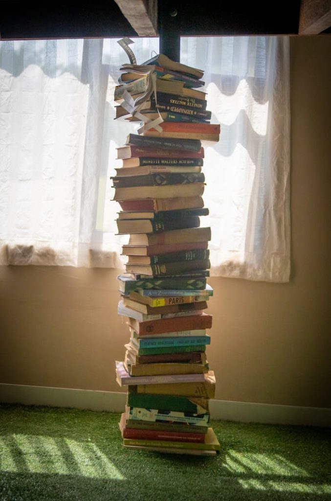 pexels-photo-3735587 Pile of Books